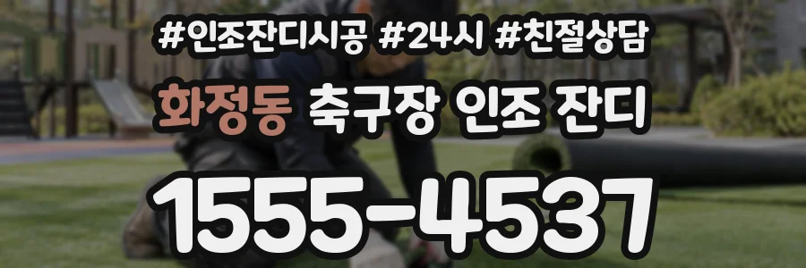 화정동 축구장 인조 잔디