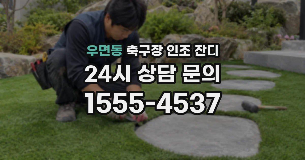 우면동 축구장 인조 잔디