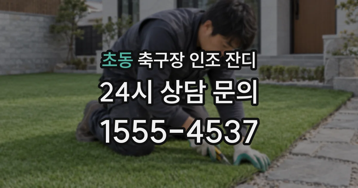 초동 축구장 인조 잔디