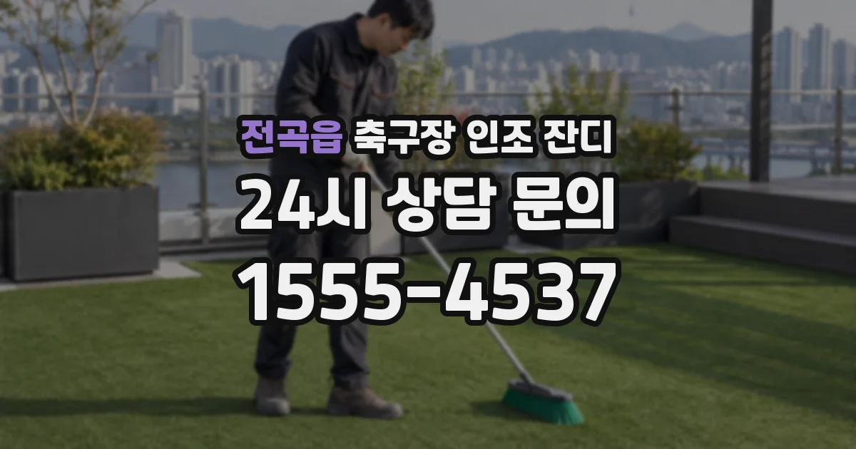 전곡읍 축구장 인조 잔디