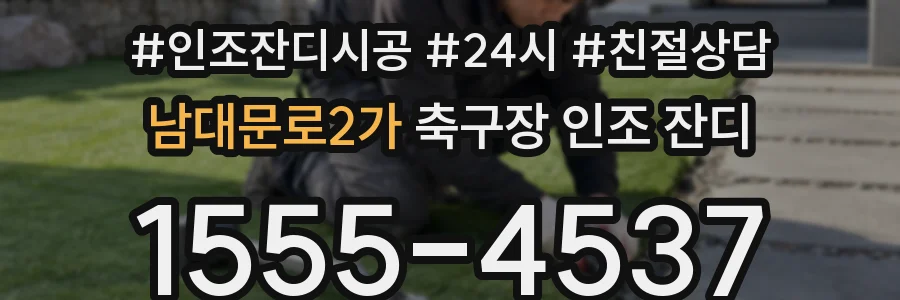 남대문로2가 축구장 인조 잔디