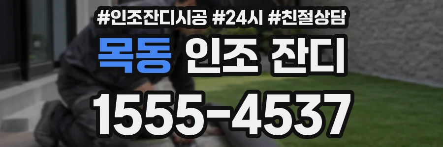 목동 인조 잔디