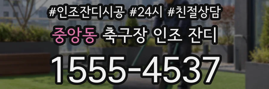중앙동 축구장 인조 잔디