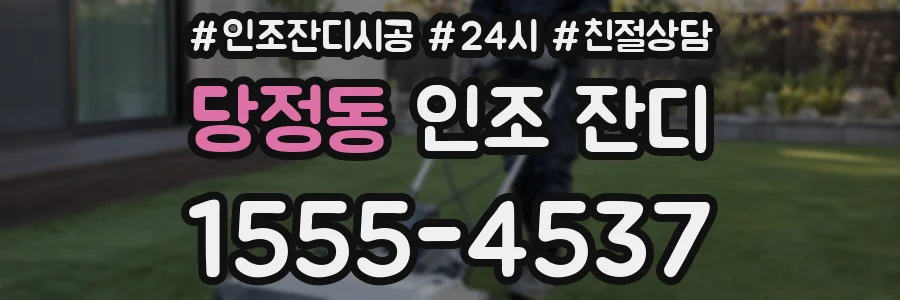당정동 인조 잔디