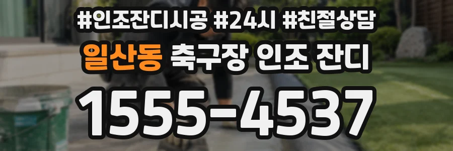 일산동 축구장 인조 잔디