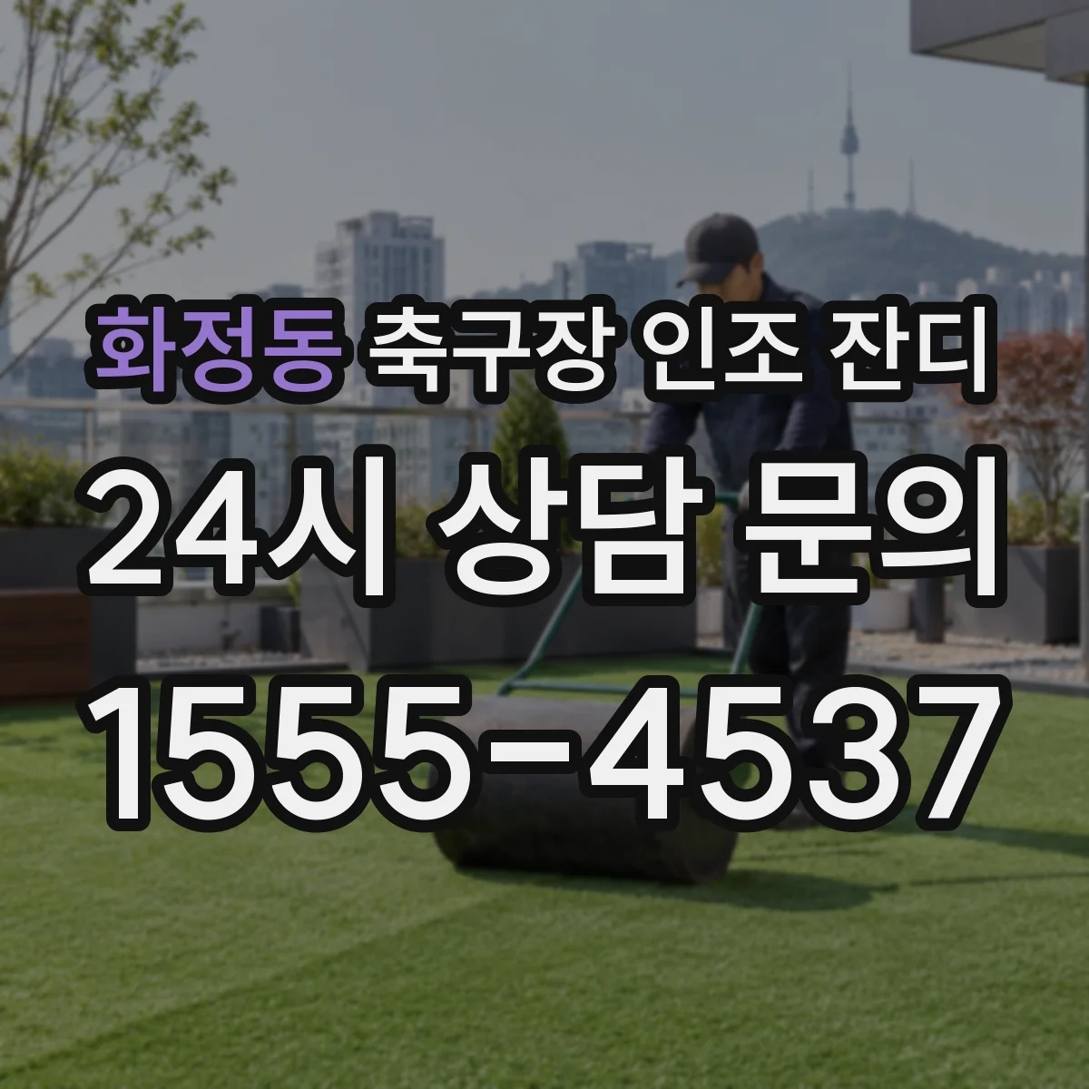 화정동 축구장 인조 잔디