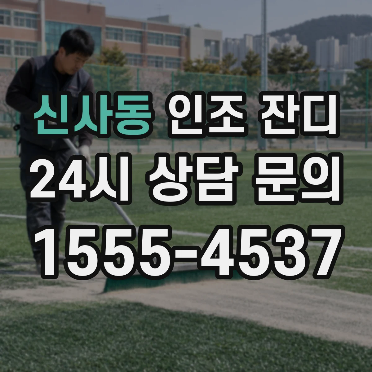 신사동 인조 잔디