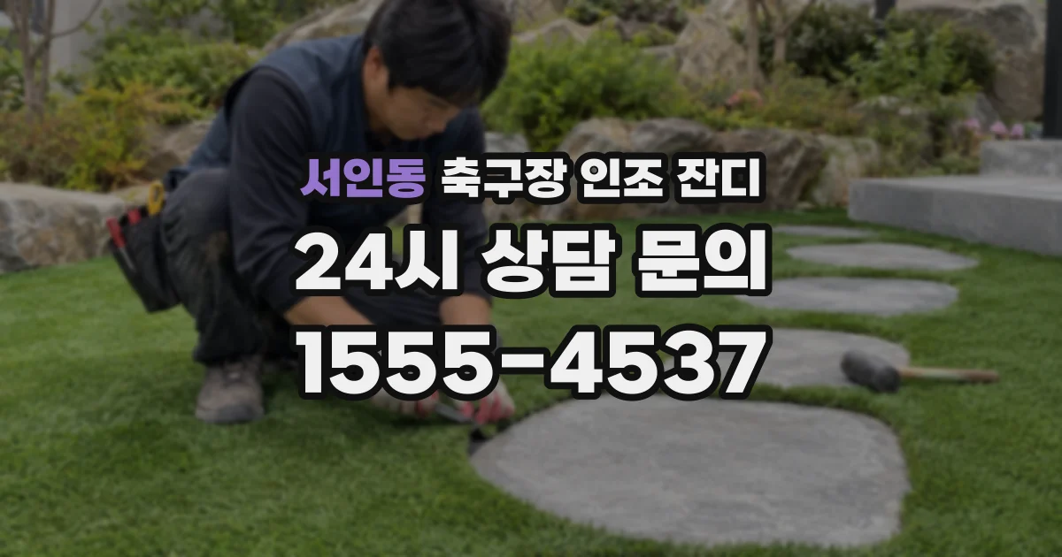 서인동 축구장 인조 잔디