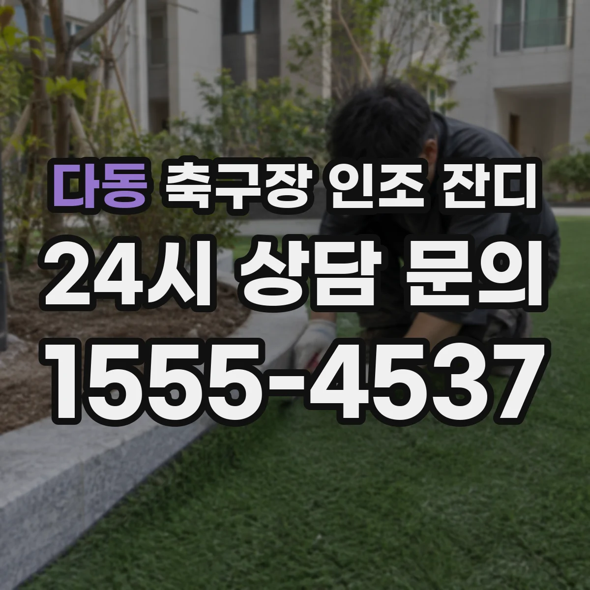 다동 축구장 인조 잔디