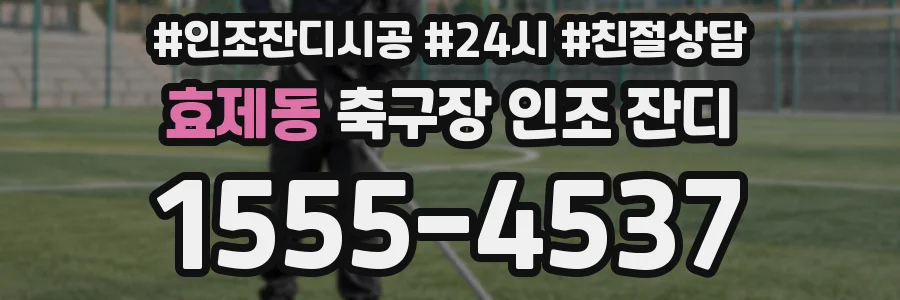 효제동 축구장 인조 잔디