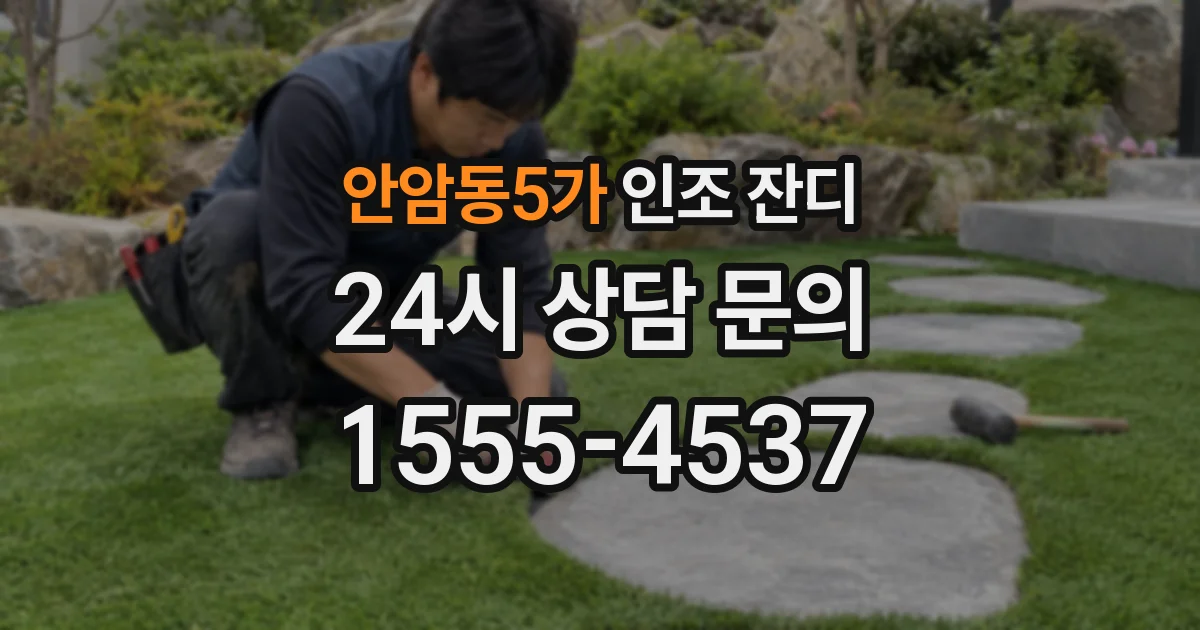안암동5가 인조 잔디