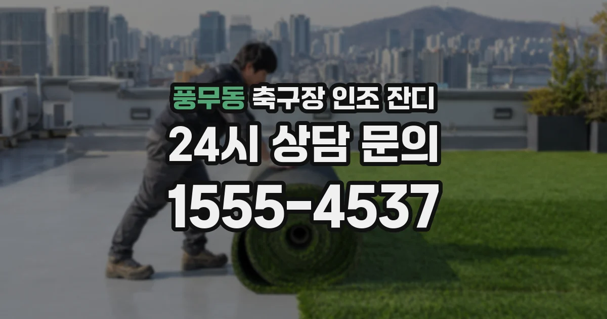 풍무동 축구장 인조 잔디