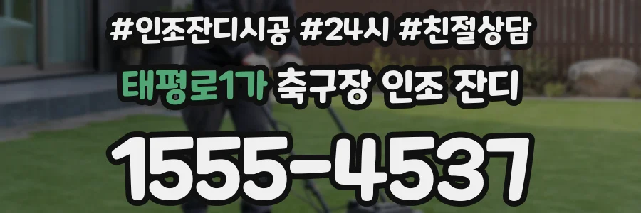 태평로1가 축구장 인조 잔디