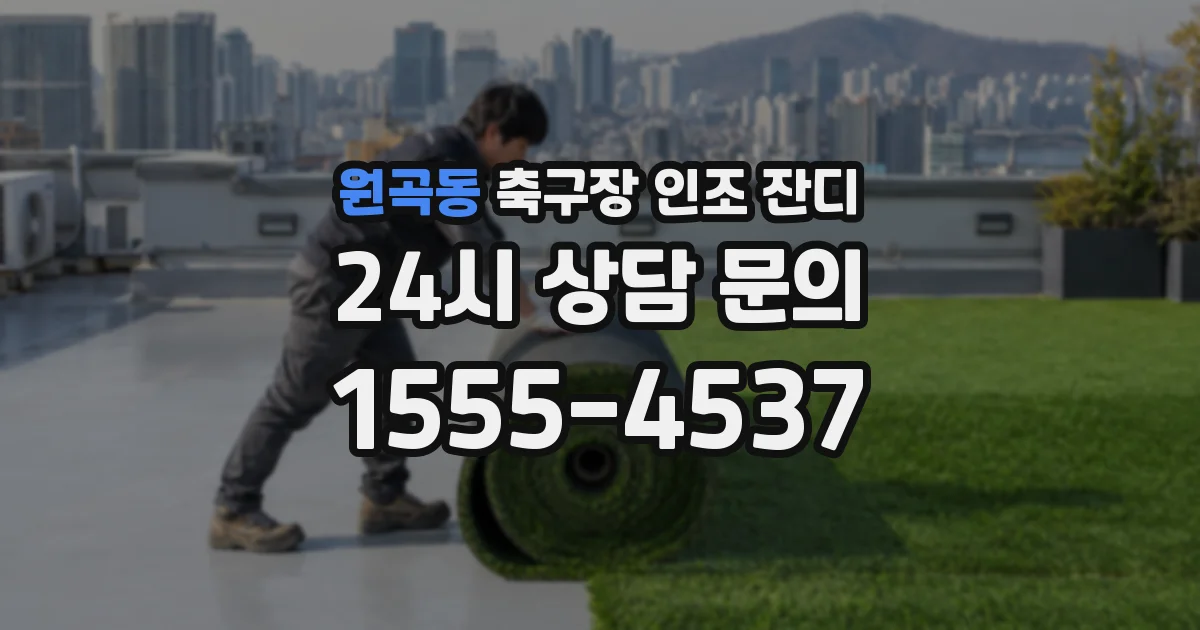 원곡동 축구장 인조 잔디