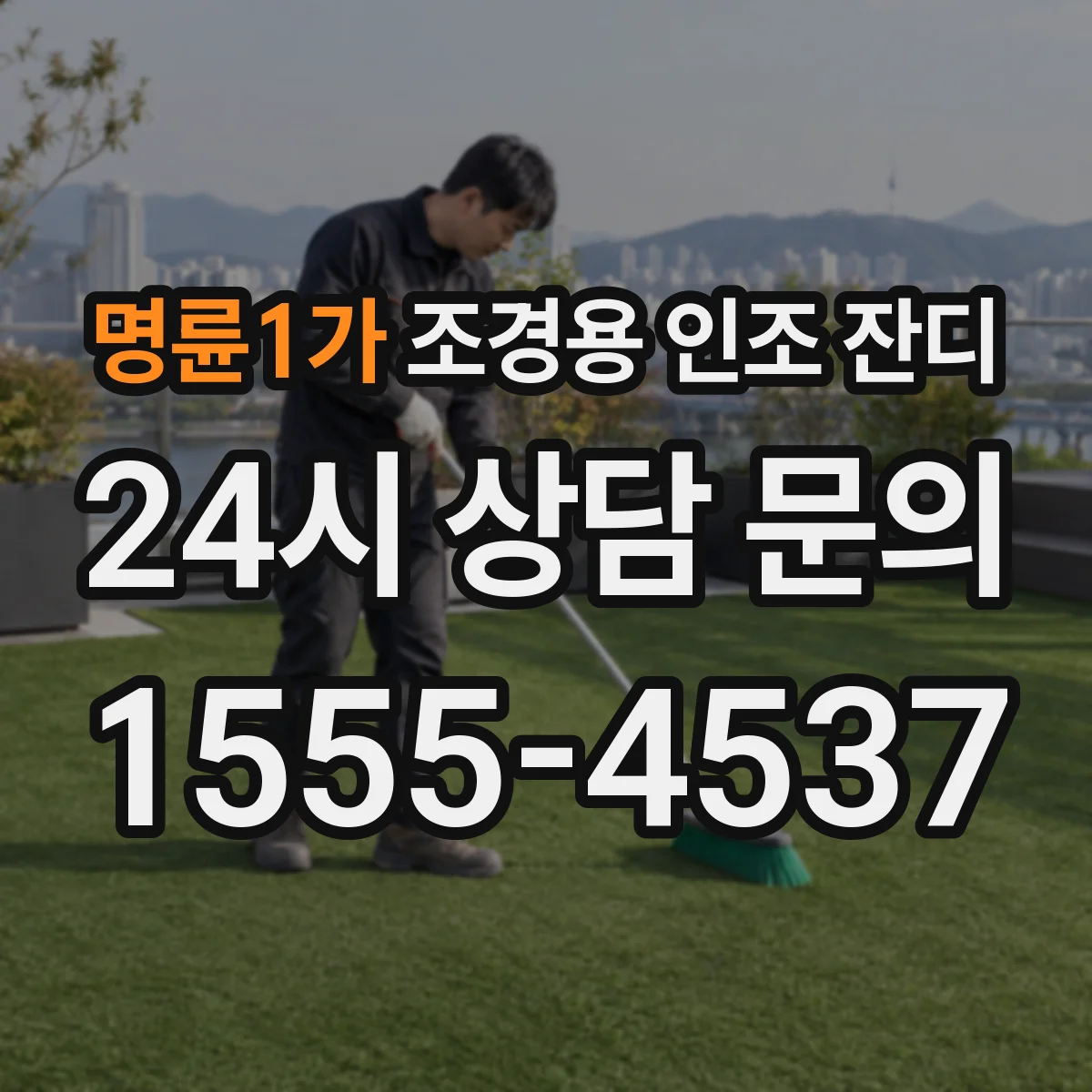 명륜1가 조경용 인조 잔디