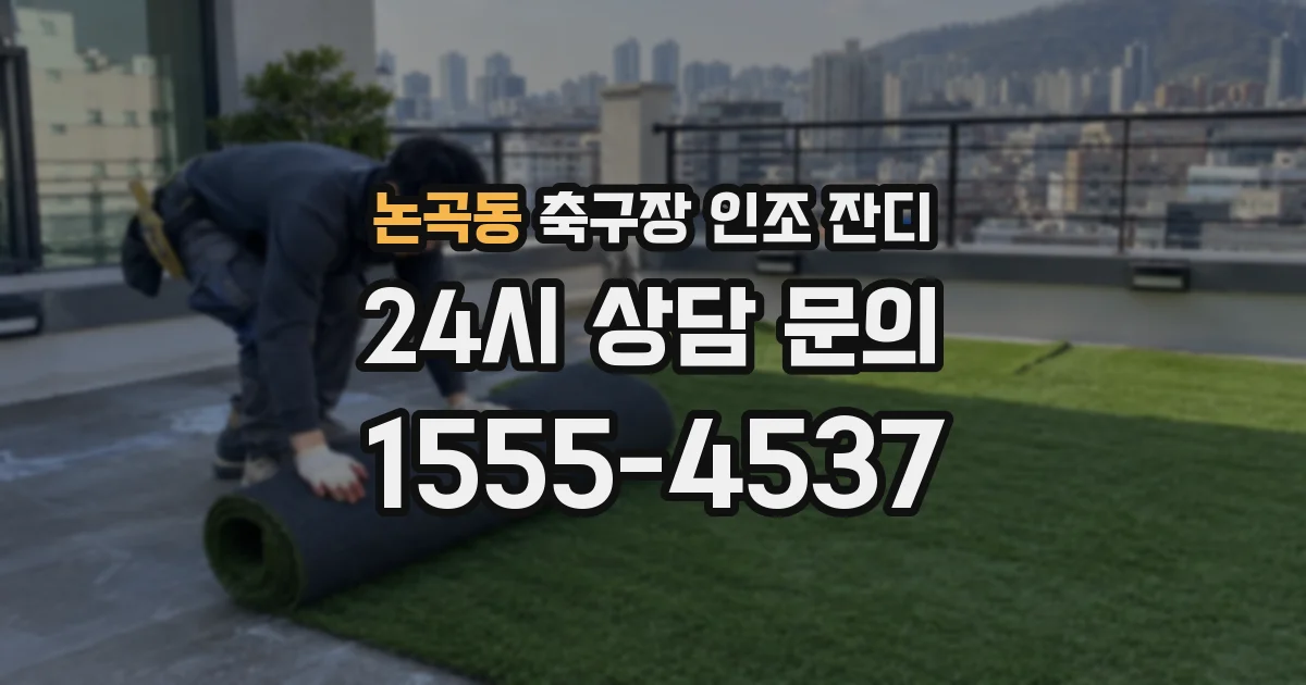 논곡동 축구장 인조 잔디