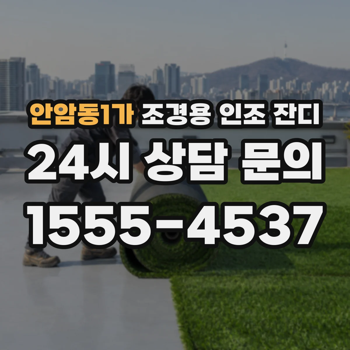 안암동1가 조경용 인조 잔디