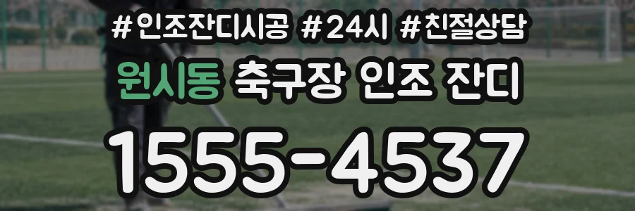 원시동 축구장 인조 잔디