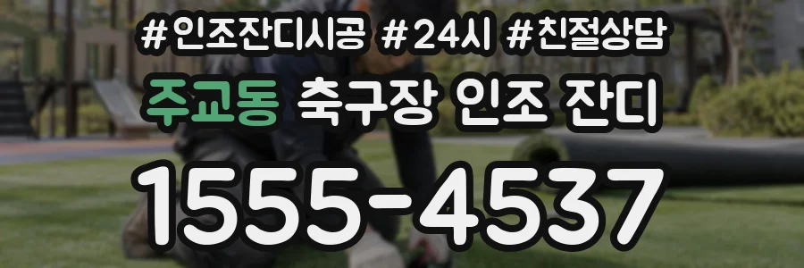주교동 축구장 인조 잔디