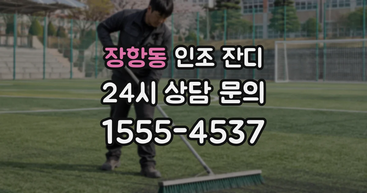 장항동 인조 잔디