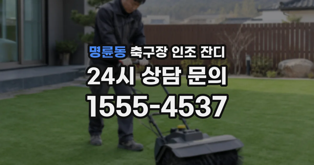 명륜동 축구장 인조 잔디