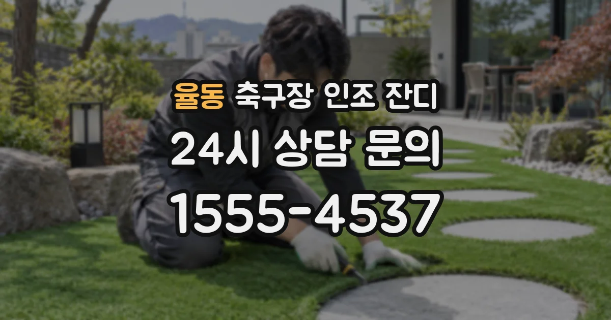 율동 축구장 인조 잔디