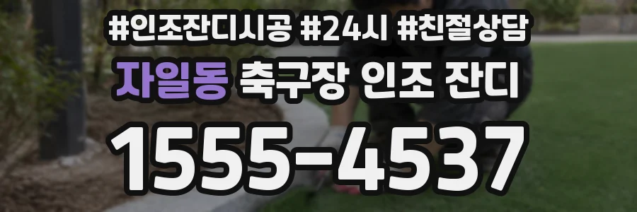 자일동 축구장 인조 잔디