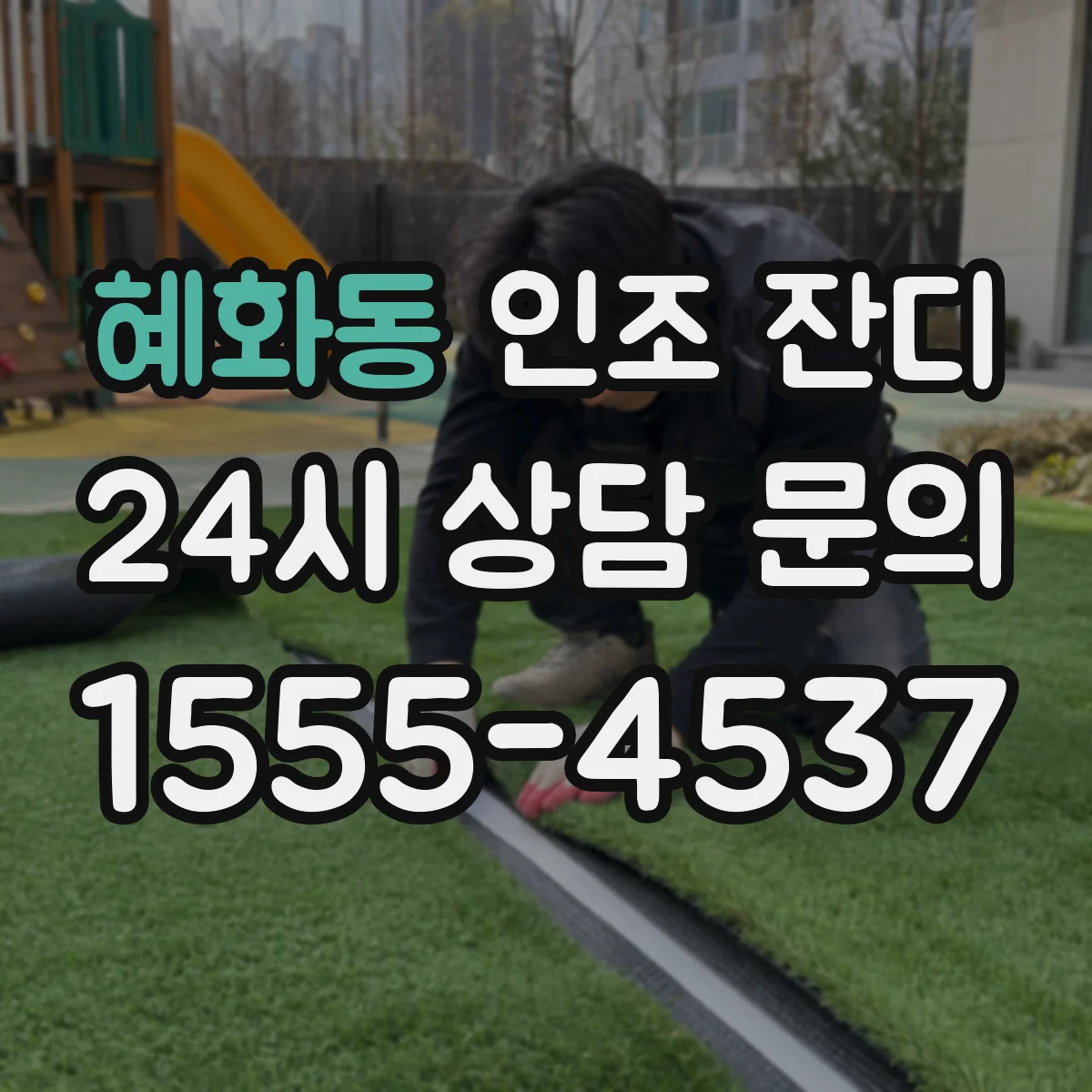 혜화동 인조 잔디