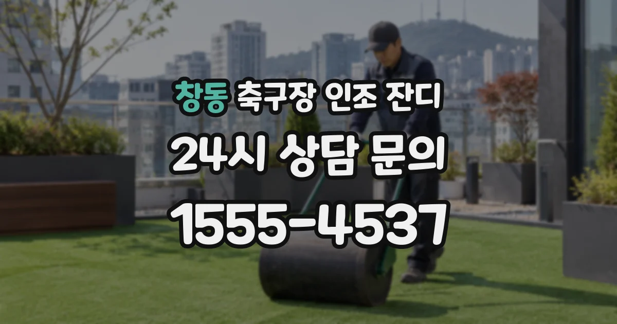창동 축구장 인조 잔디