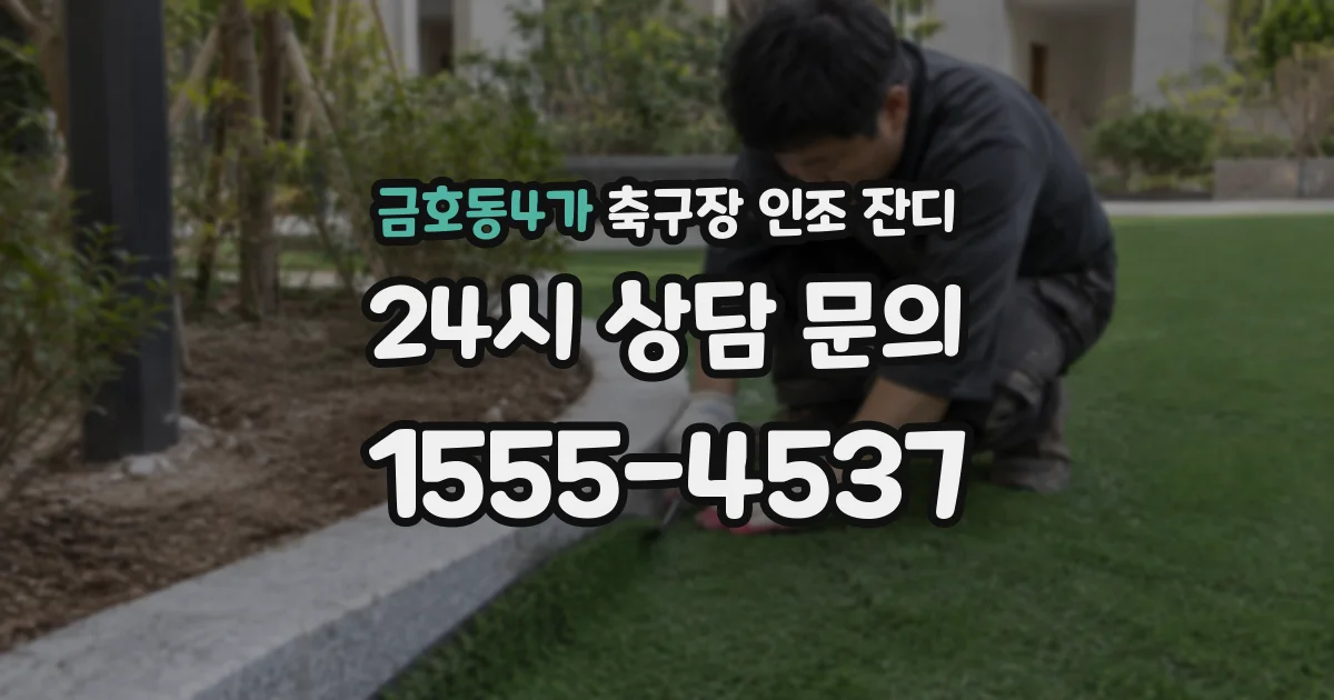 금호동4가 축구장 인조 잔디