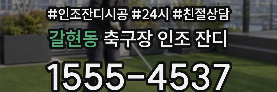 갈현동 축구장 인조 잔디
