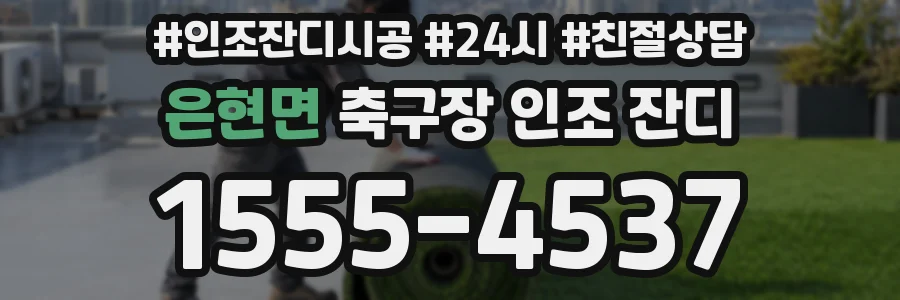 은현면 축구장 인조 잔디