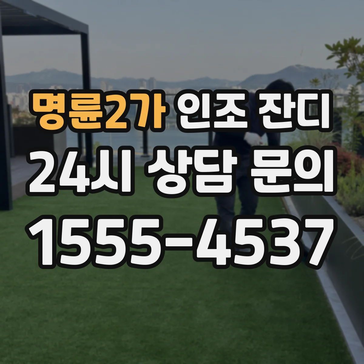 명륜2가 인조 잔디
