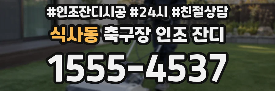 식사동 축구장 인조 잔디