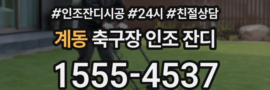 계동 축구장 인조 잔디