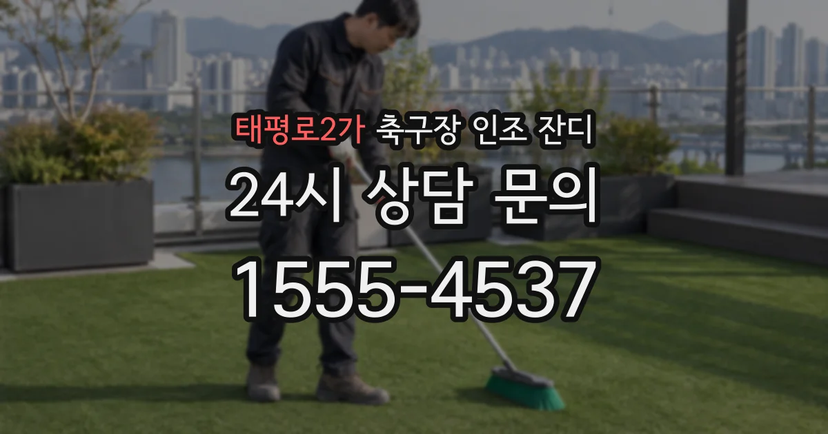 태평로2가 축구장 인조 잔디
