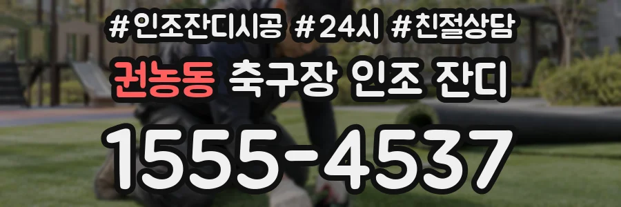 권농동 축구장 인조 잔디