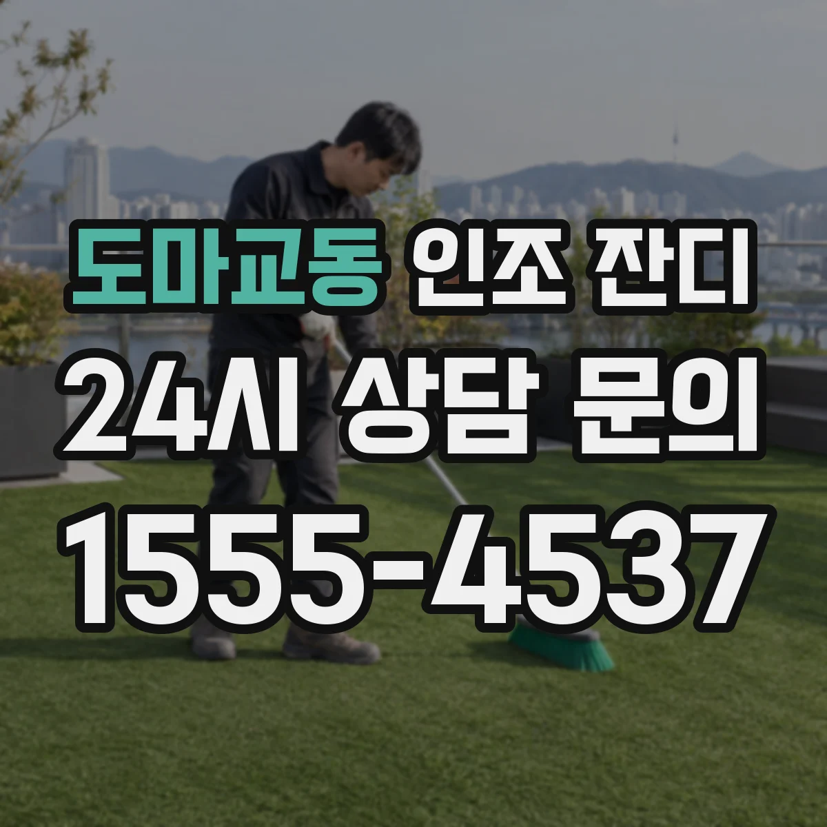 도마교동 인조 잔디
