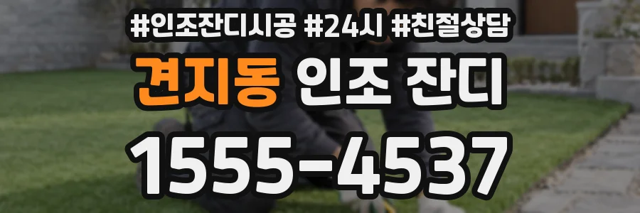 견지동 인조 잔디