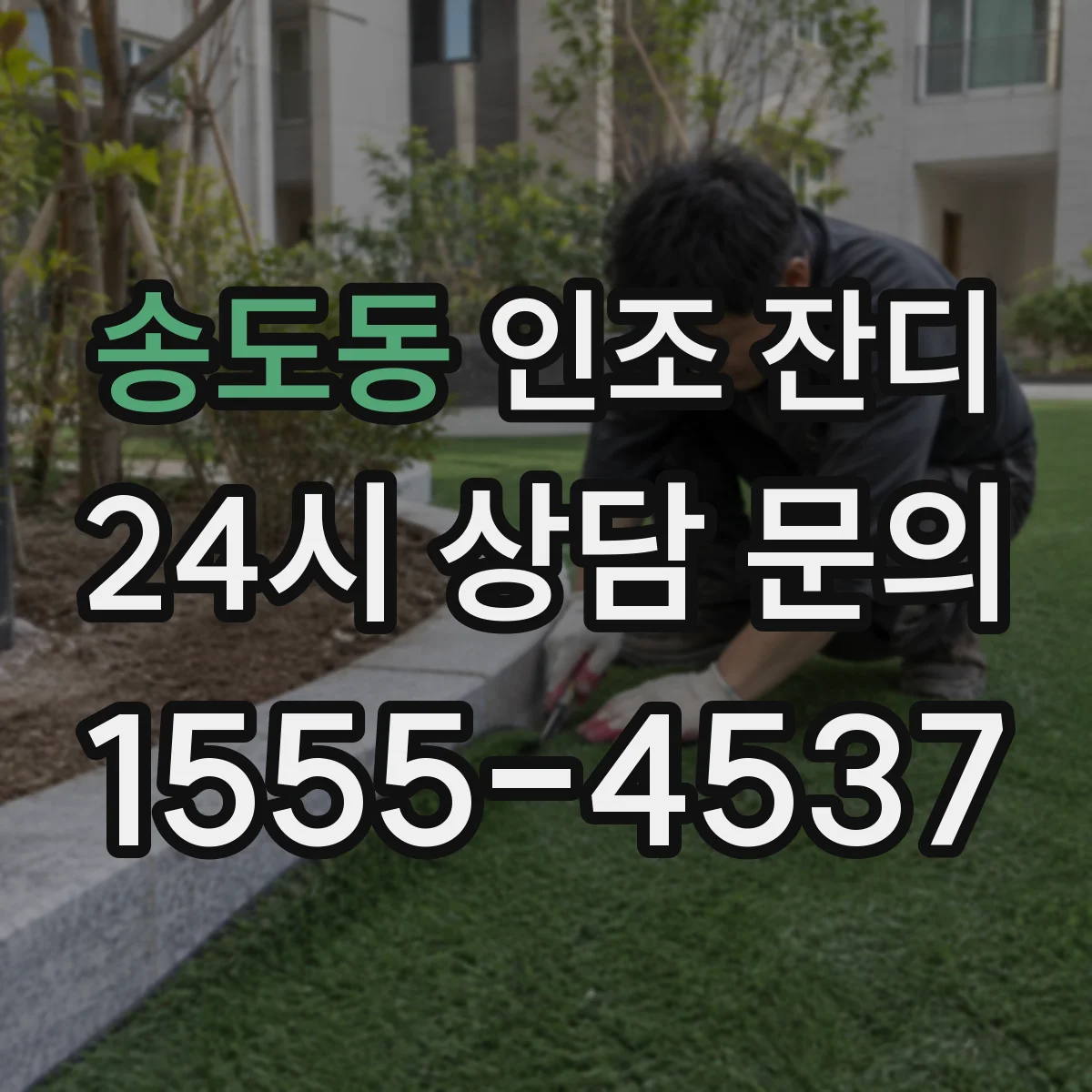 송도동 인조 잔디