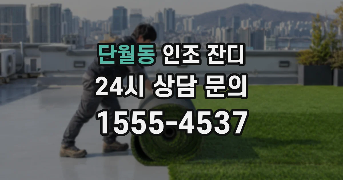 단월동 인조 잔디