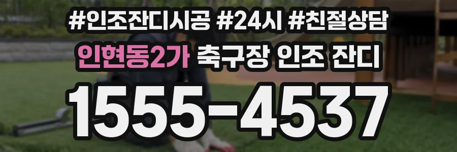 인현동2가 축구장 인조 잔디