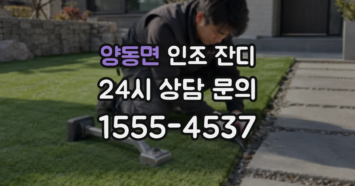 양동면 인조 잔디