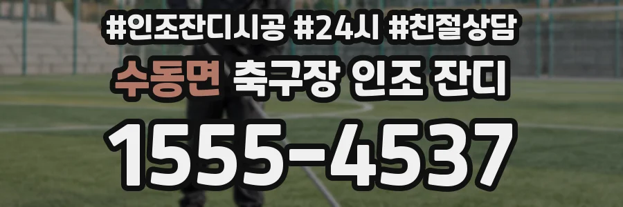 수동면 축구장 인조 잔디