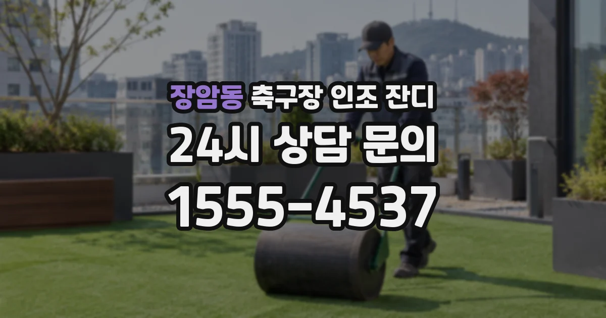 장암동 축구장 인조 잔디