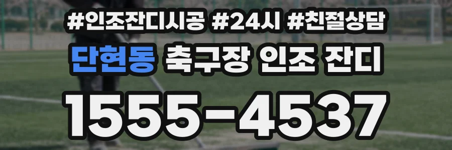 단현동 축구장 인조 잔디