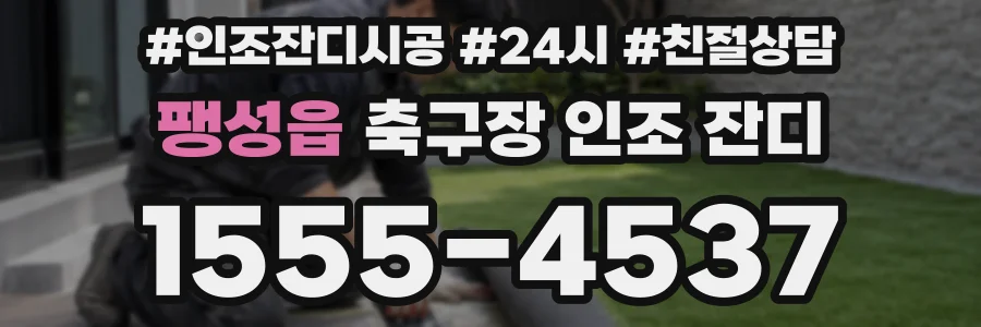팽성읍 축구장 인조 잔디