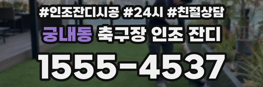궁내동 축구장 인조 잔디