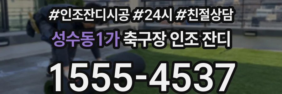 성수동1가 축구장 인조 잔디