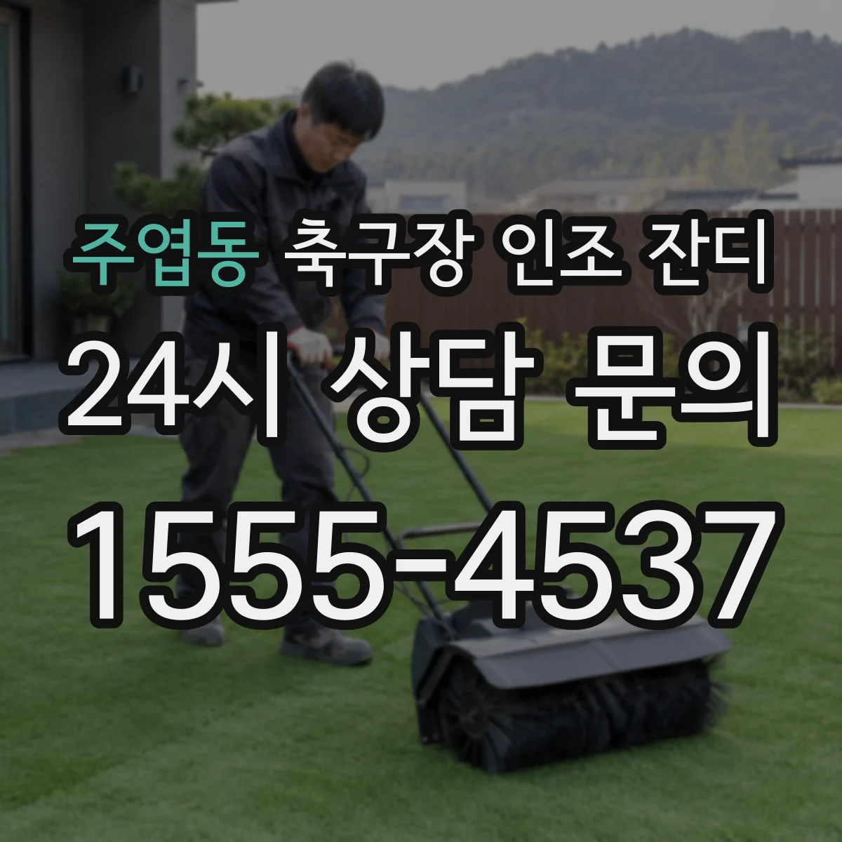 주엽동 축구장 인조 잔디